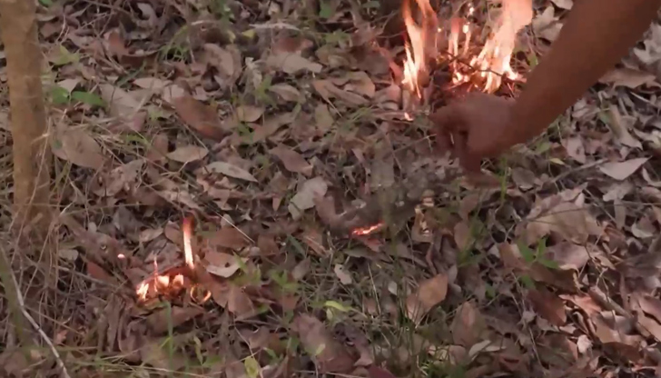 След тежка депресия, причинена от опустошителните пожари преди 5 години,