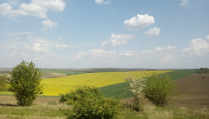 Слънчево време в цяла България, но сутрините остават студени със