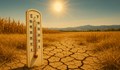 Учените предупреждават за екстремно горещо лято 2025