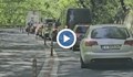 20-километрова колона от автомобили се образува по пътя към Гърция