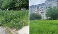Неокосената трева в русенските квартали се превръща в джунгла