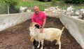 Фермер спасил застрашена порода кози се изправя срещу системата
