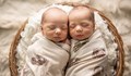Четири двойки близнаци се родиха в УМБАЛ "Свети Георги" за 10 дни