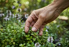 Закриват се пунктове заради липса на работна ръка и ниски