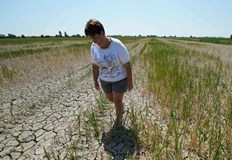 Юни ще остане по умерен преди да настъпят големите летни жегиПоследната