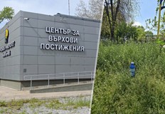 Граждани алармират за опасна растителност около Русенския университетСамо върховите постижения