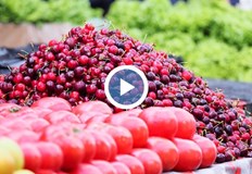 Овощарите очакват спад до 20 лева в края на май