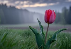 Температурите стигат 30 градуса но следобед идват опасни локални буриПрез