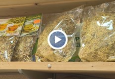 Жълтият кантарион носи 50 загуба на производителите алармират от браншаМасово