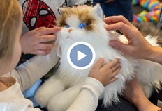 Електронните домашни любимци със светещи очи и изкуствен пулс имат