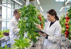 Институт Образцов чифлик обучава стопани на иновативни методиИнститут по земеделие