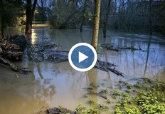 След проливния дъжд – над 30 градини са под вода