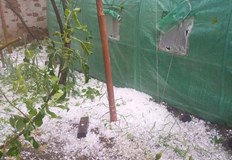 Бурни ветрове и пороен дъжд нанесоха щети по домове и