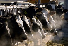 Официалните данни отчитат спад във всички категории докато работата на