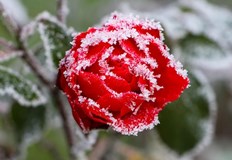 Ще има условия за сланиЗапочва период с изразена нестабилност на