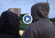 Деца разкриват истината за агресивните банди Колкото повече биеш толкова