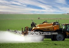 Според специалисти подобно нашествие се случва веднъж на десет годиниВ