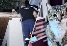 Стопанката на бедстващия котарак Пожарникарите бяха много любезни благодаря им