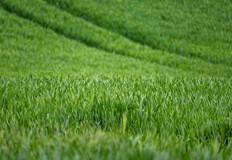 Цените на имотите в Русенско обявени на търг са между