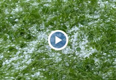 Ледени късове с големина на лешник валяха в Сливо поле