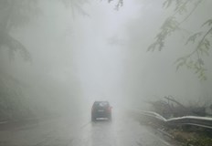 Шофьорите да се движат с повишено внимание заради намалената видимостГъста