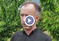 Двойно предизвикателство за българските овощари силните пролетни студове и