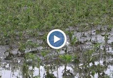 Керемиди покриви и стъкла на автомобили са пострадали при невижданата