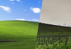 Пейзажът от компютрите вече е винарска плантацияМилиарди хора по света