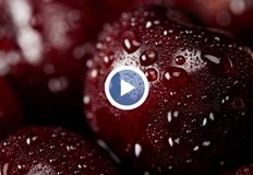 Цената е резултат от унищожената реколтаСтудът и снегът през март