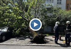 Поривите достигнаха 58 километра в час за региона е в