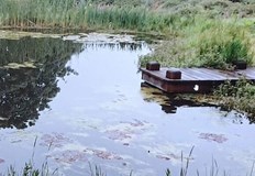 Рибарникът се превръща в езеро с водни лилии и понтони