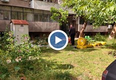 С лични косачки срещу тревните джунгли в квартал Здравец Изток Жители на