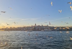 Няма пострадали и разрушенияЗеметресение с магнитуд 4 по Рихтер е