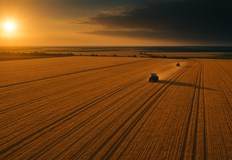 Приходите от общинския поземлен фонд през 2024 година бележат ръст