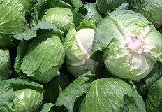 С правилен подход можем да се радваме на богата реколта