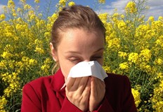 Експерти прогнозират умерени нива на алергени във въздухаНамаляваща концентрация на