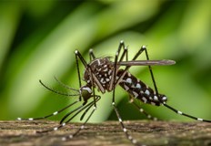 Жители на Русе поставят под въпрос ефективността на общинските дейности