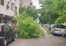 Екипи на пожарната оказаха съдействие и при наводнение в КошарнаЕкипи