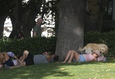 Температурите достигат 40 градусаВ Испания се регистрират рекордно високи температури