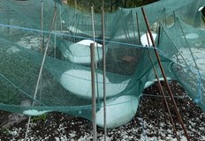 НИМХ предупреждава за опасни валежи във всички райони на страната