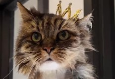 Трагедията отне живота на двамата й собственици в националния парк