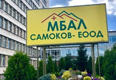 Мъжът е в болница с опасност за живота а нападателката