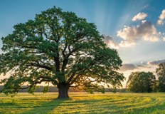 В неделя температурите в региона ще достигнат 27 30 градуса възможни