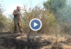 Пожарникарите търсят доброволци за подкрепа при мащабни бедствияРегионална дирекция Пожарна