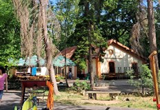 Изсъхналите дървета представляват и повишен риск от пожарНяколко изсъхнали борови