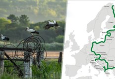 Желязната завеса се превърна в екологичен мост между 24 държавиЕвропейският