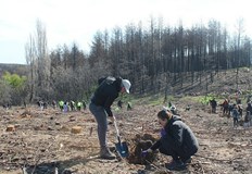 Светослав Димитров който пострада тежко при гасенето на пожара миналото