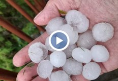 Природната стихия унищожи насаждения в Севлиевско и Троянско за минутиГрадушка