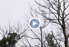 Експерти предупреждават за опасност от драстично намаляване на добивите от