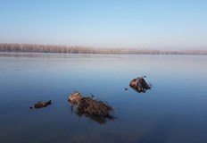 Конкурсът отличава най добрите снимки от поречието на реката с изложба